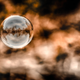 Illustration for article titled 12 Bubblicious Photos Of Bubbles